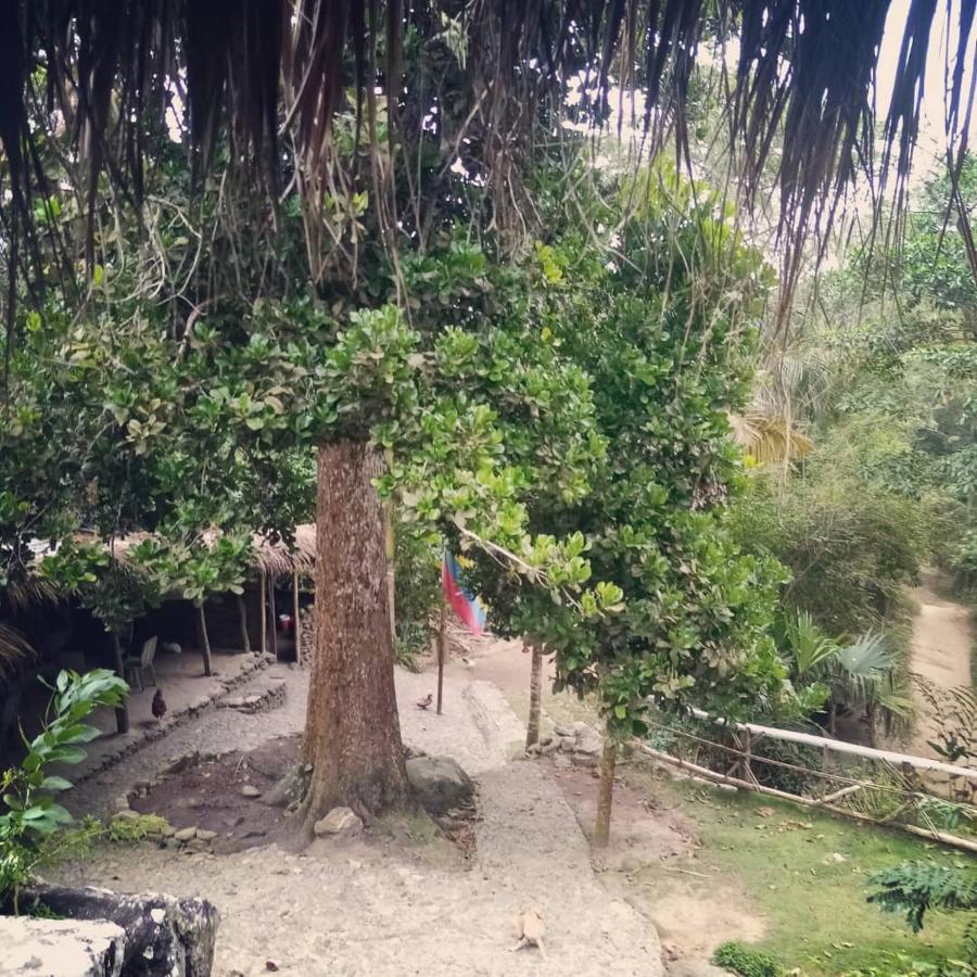 La Cima Tayrona Hotel Santa Marta  Bagian luar foto