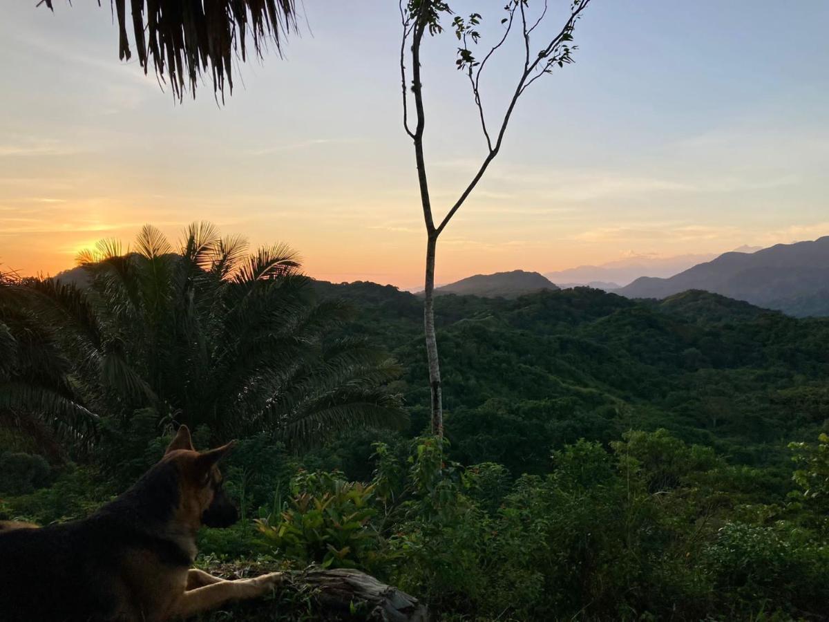 La Cima Tayrona Hotel Santa Marta  Bagian luar foto
